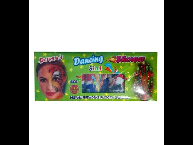 5 IN 1 SHOWER (BUS/TRAIN)